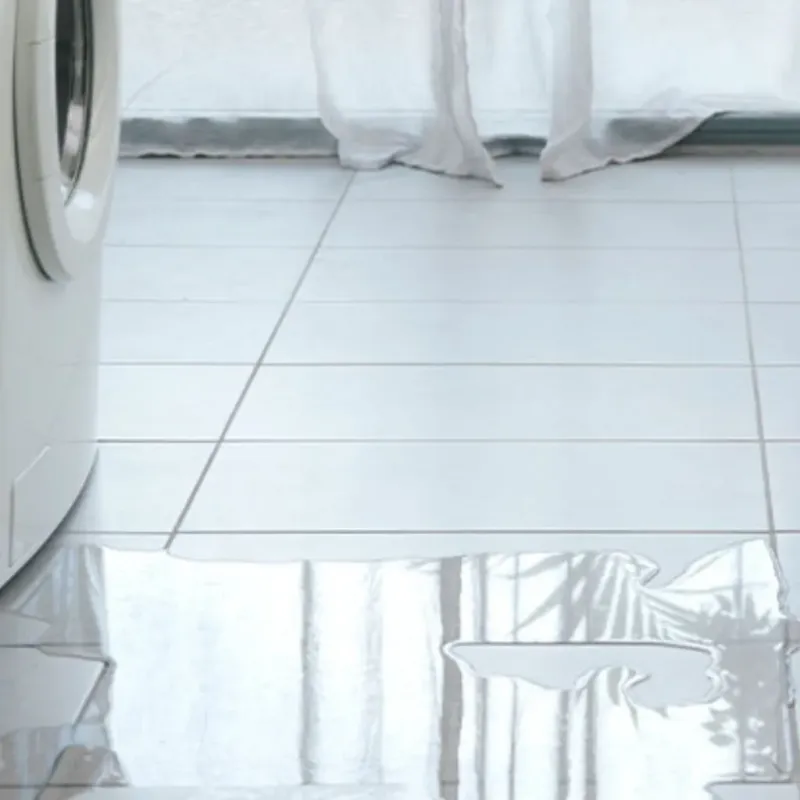 Appliance Leak Cleanup in Vernon, AL