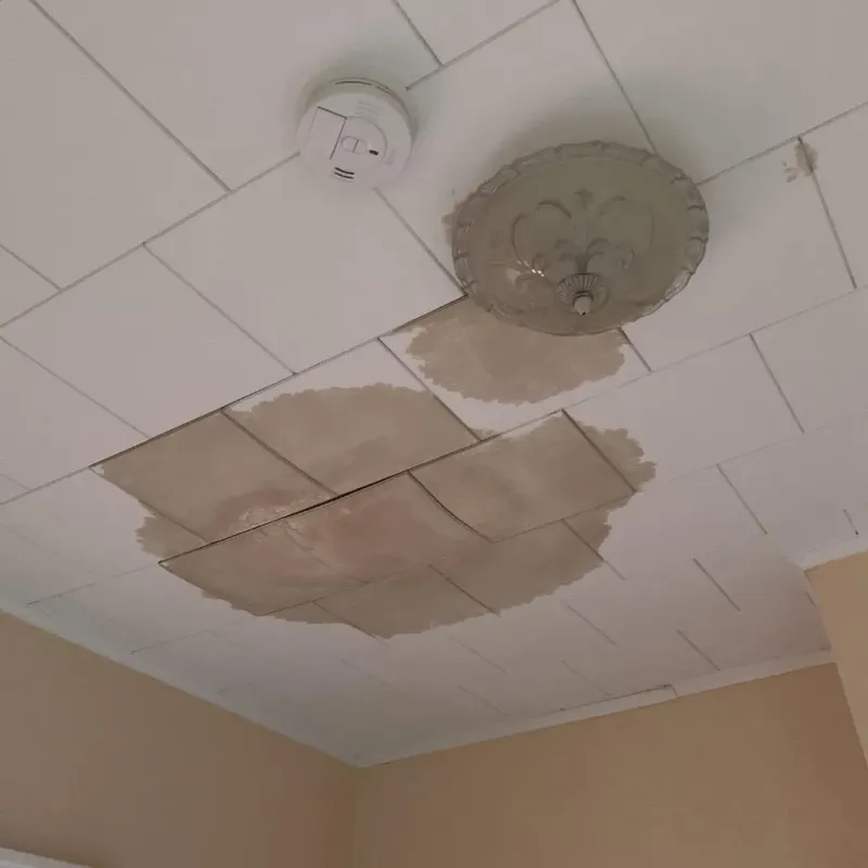 Ceiling Water Damage Repair in Vernon, AL